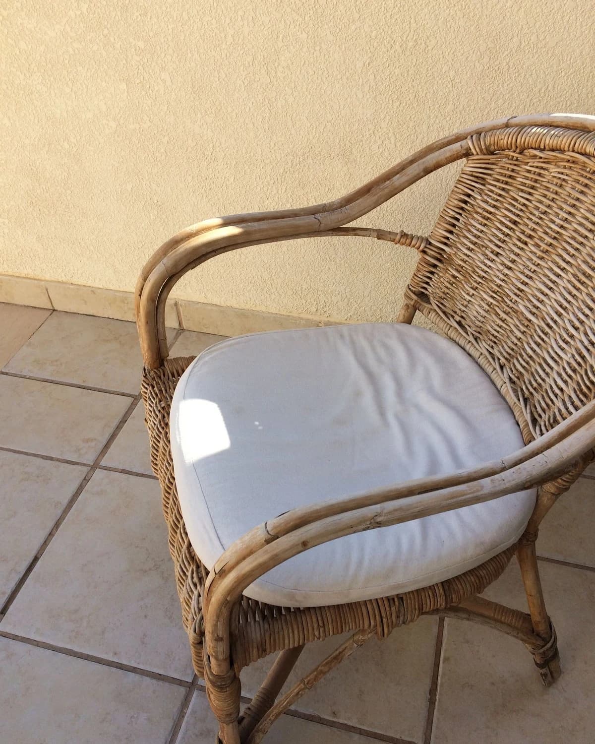 Rattan Bahçe Koltuğu